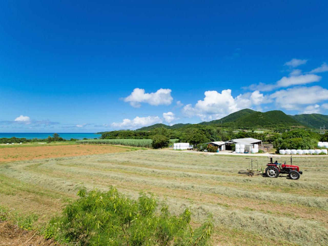 Sun Green Resort Hotel Ishigaki Ishigaki  Εξωτερικό φωτογραφία